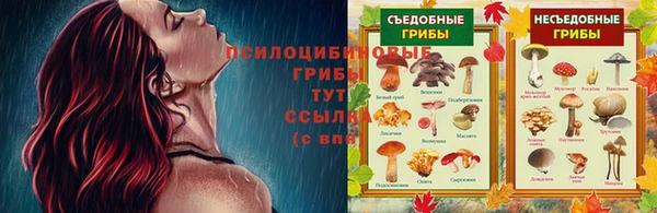 PSILOCYBIN Абинск