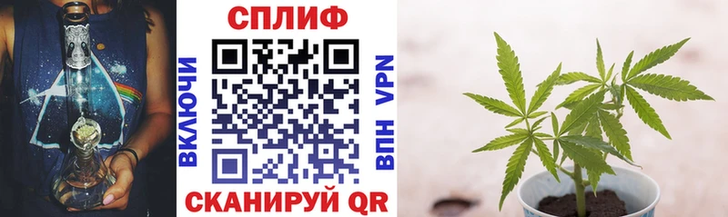 Бошки Шишки сатива  MEGA зеркало  Приволжский 